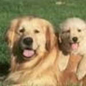 Meet your Posher, Alana